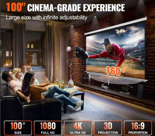 100" Projector Screen